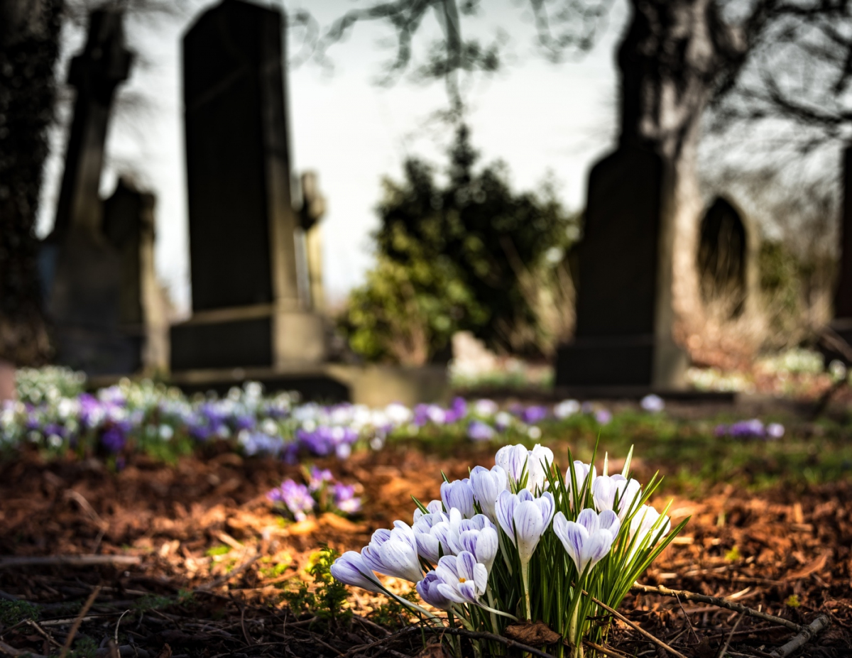 Burial insurance for seniors: The Ultimate Guide